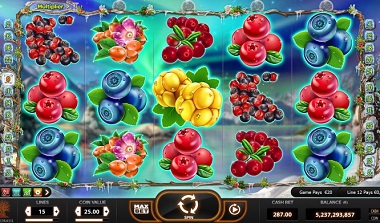 play winterberries video slot