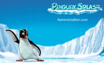 Pinguin Splash Slot Rabcat