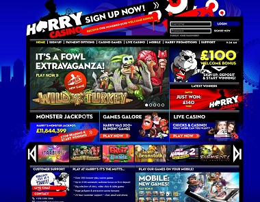 Harry NetEnt - Microgaming Casino