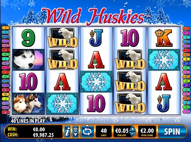 Wild Huskies Slot Bally