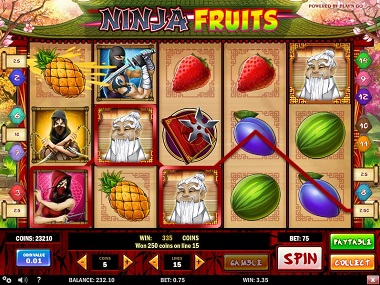 Ninja Fruits Slot Playn GO