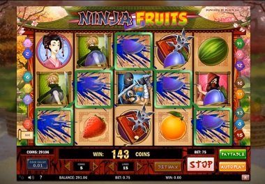 Ninja Fruits Slot