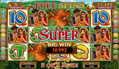 Sweet Harvest Slot