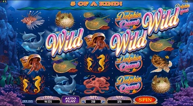 Dolphin Quest Slot Game