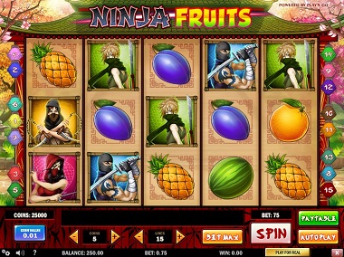 Ninja Fruits Playn GO Slot