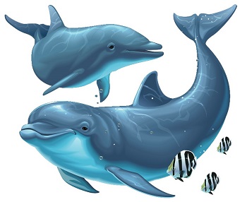 Dolphin Quest Slot Game symbol