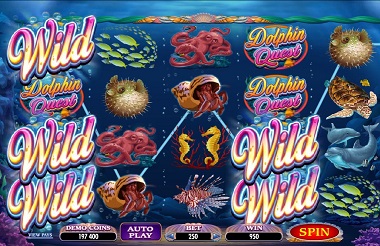 Dolphin Quest Slot Game