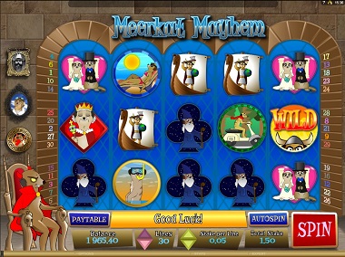 Meerkat Mayhem Slot Screenshot