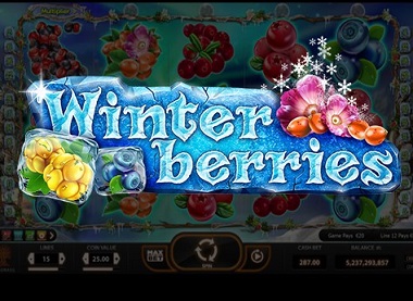 Winterberries Slot