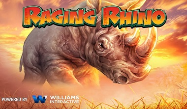 Raging Rhino Williams Interactive