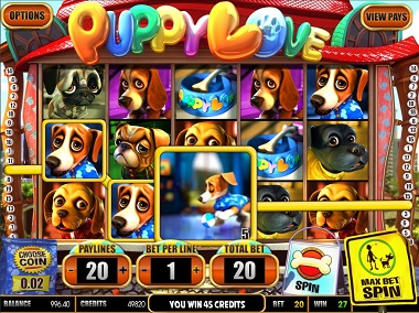 Puppy Love Slot Game