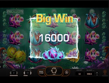 Fruitoids Big Win