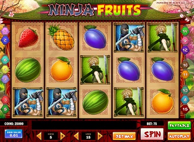 Ninja Fruits Slot Play'n GO