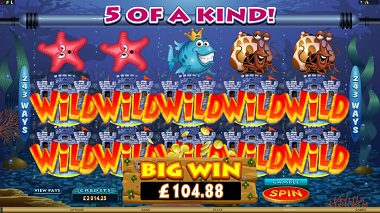 Fish Party Big Win