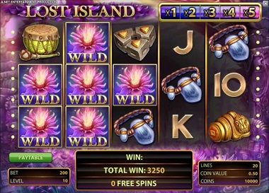 Lost Island Wild