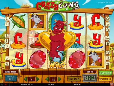 Crazy Cows Slot Playn GO