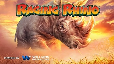 Raging Rhino Williams Interactive