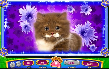 OMG Kittens Online Slot