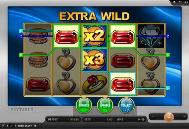 Extra Wild Slot