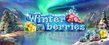 Winter Berries Banner