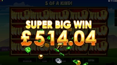 Lucky Leprechaun Big Win