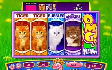 OMG Kittens Williams Interactive