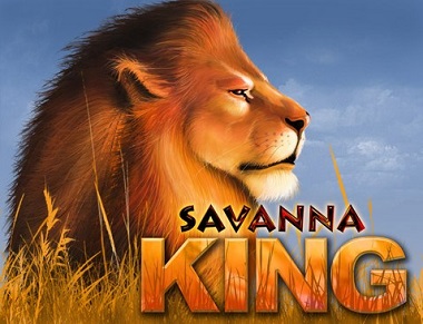 Savanna King Lion