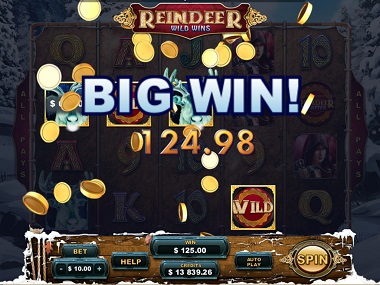 Reindeer Wild Wins Big Win