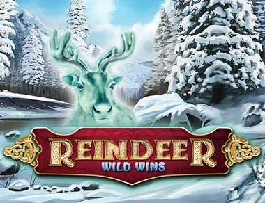 Reindeer Wild Wins Slot