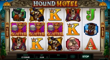 Hound Hotel Scatters