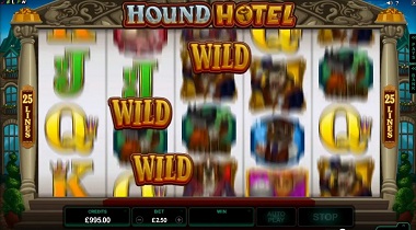 Hound Hotel Wilds