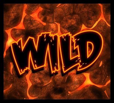 Wild Symbol