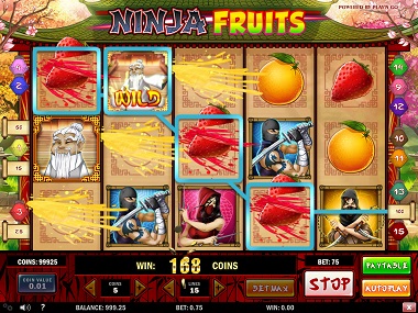 Ninja Fruits Slot