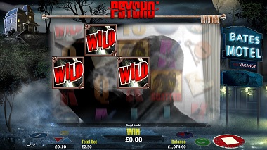 Psycho Slot Wilds