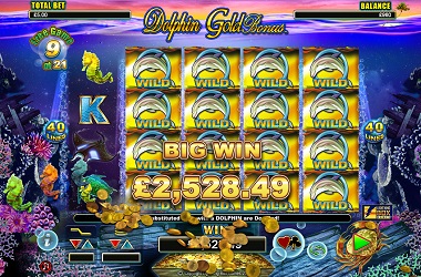 Dolphin Gold Slot Big Win