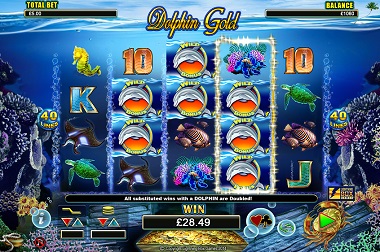 Dolphin Gold Slot Bonus
