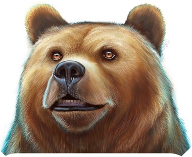 Wild North Play'n GO Bear