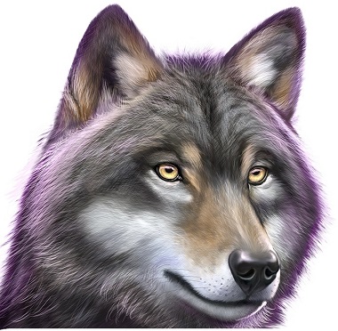 Wolf Symbol