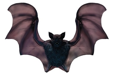 Halloween Bat