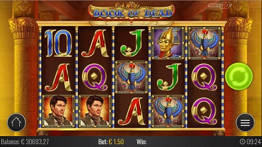 Book of Dead Play'n GO Slot