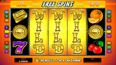 SunTide Slot Microgaming 3