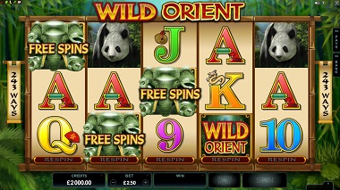 Wild Orient Microgaming Slot 2