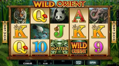 Wild Orient Microgaming Slot