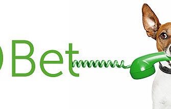 Enjoy 50 Free Spins on Gemix at 24hBet