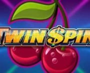 Twin Spin Slot