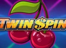 Twin Spin Slot