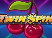 Twin Spin Slot