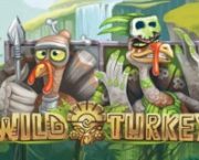 Wild Turkey Slot