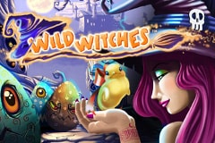 Wild Witches Slot