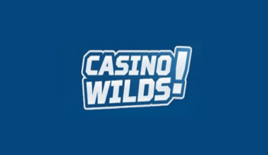 CasinoWilds Casino Logo